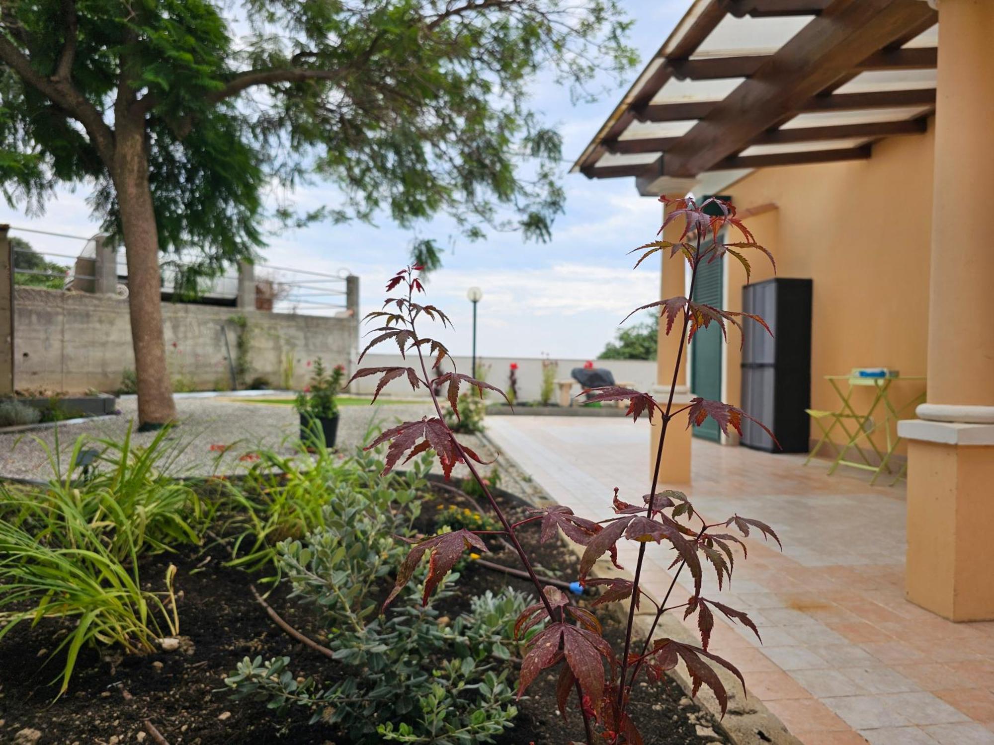 Avocado Villa Ventimiglia Exteriör bild